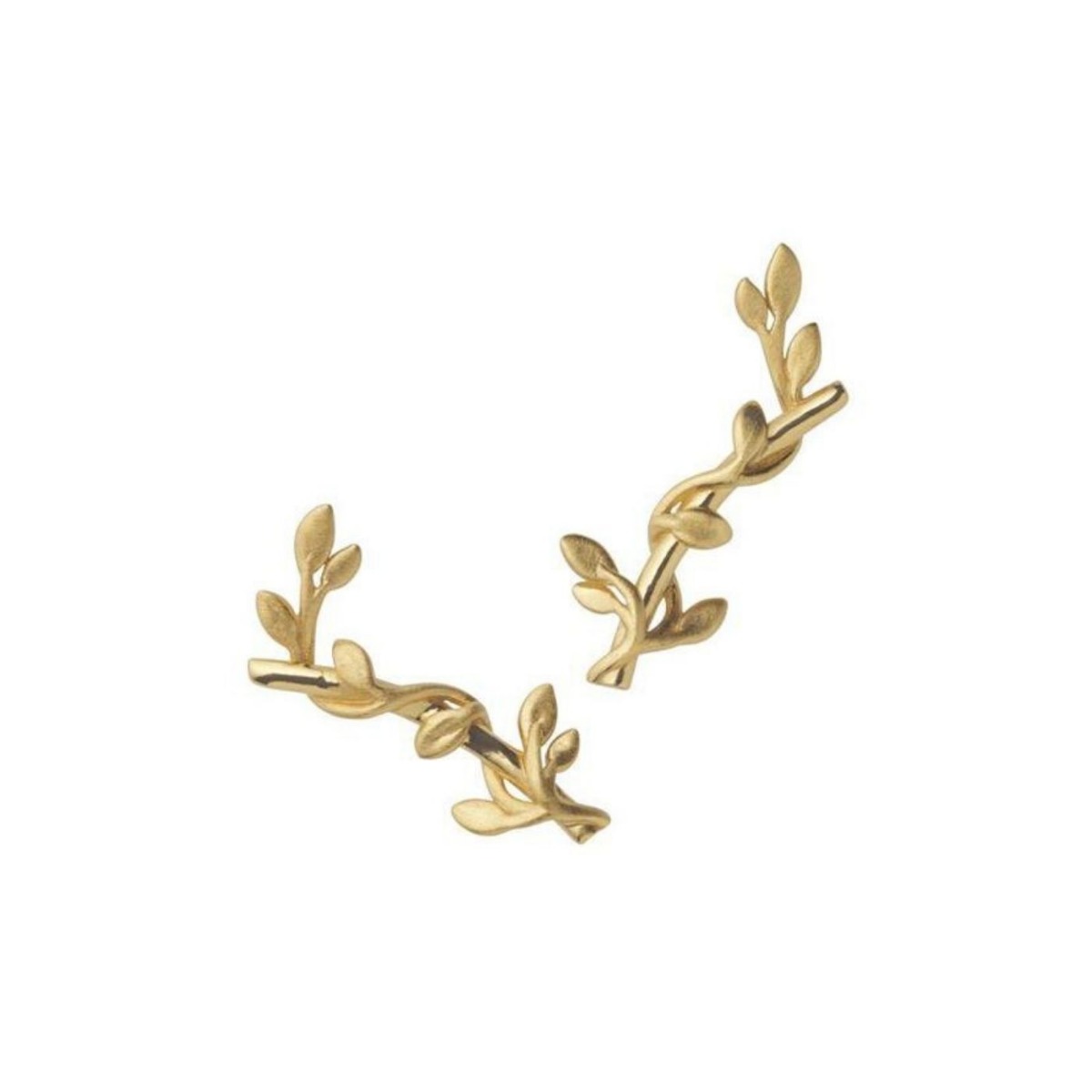 Jungle Ivy Øredobb Gullforgylt Sølv
