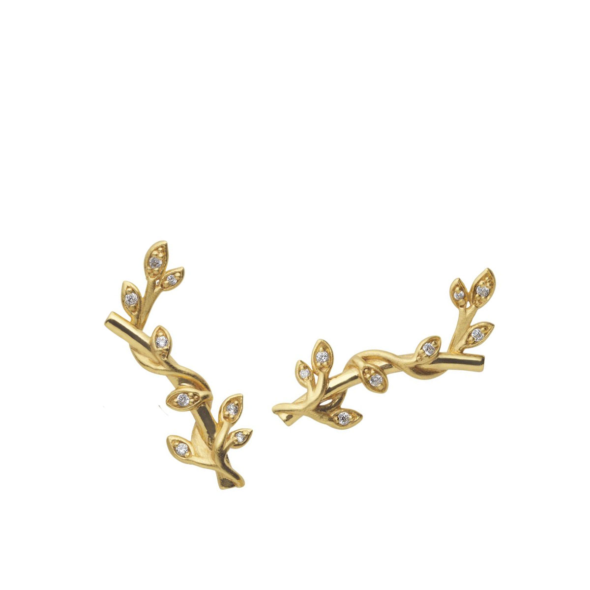 Øredobber Jungle Ivy Gold 