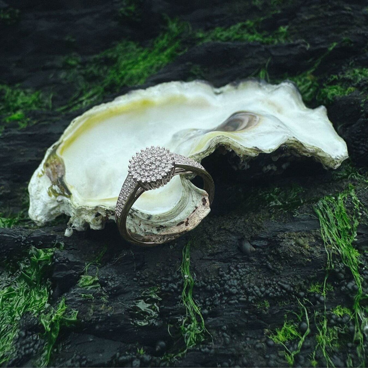 Hvitt gullring med rundt felt dekorert med små glitrende stener og stenbesatte detaljer langs ringskinnen.