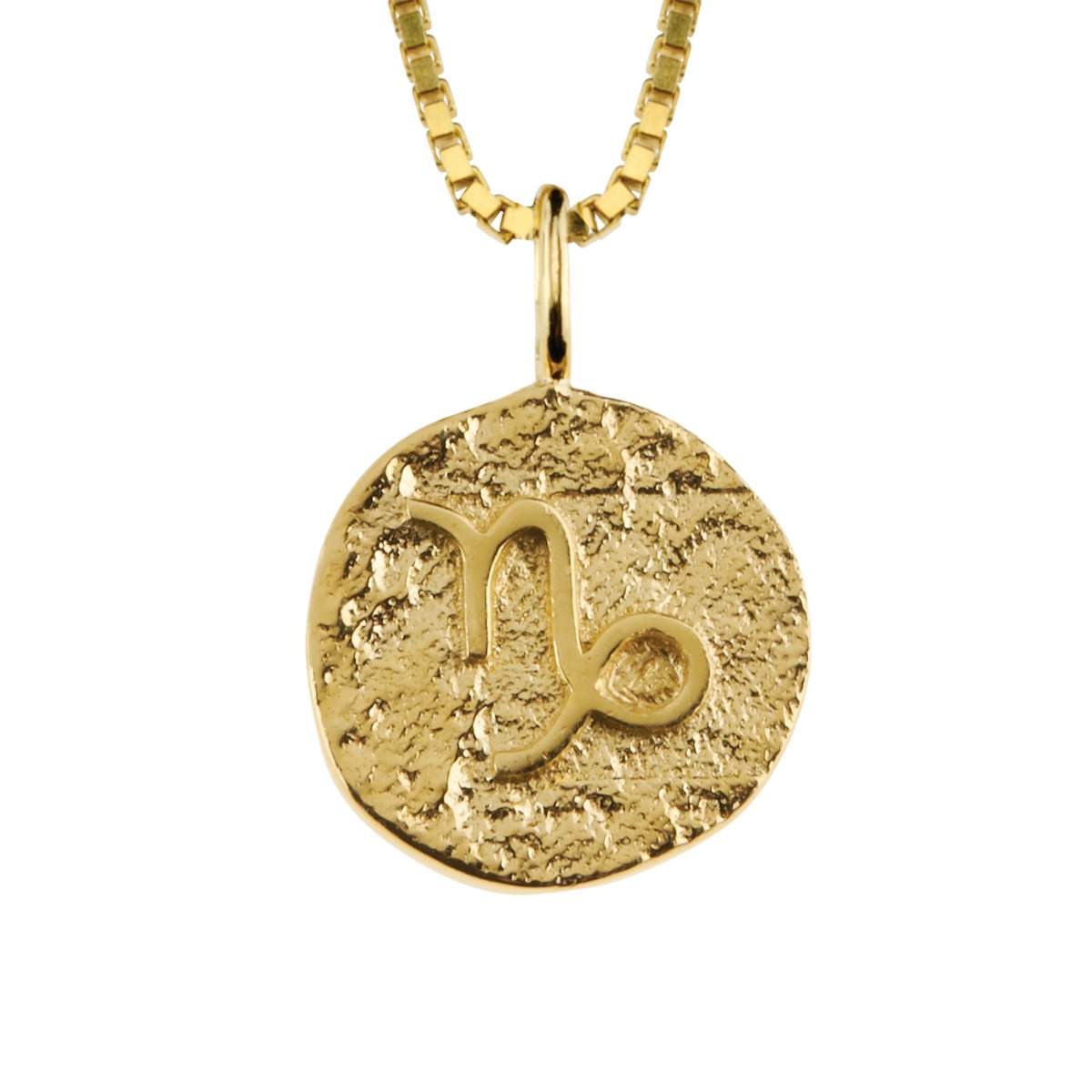 Stjernetegnsmykke Steinbukken 925 Forgylt Sølv