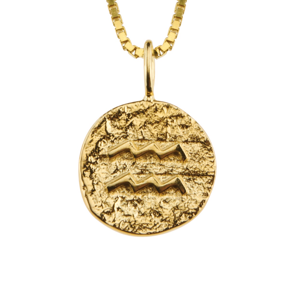 Stjernetegnsmykke Vannmannen 925 Forgylt Sølv