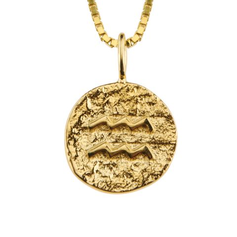 Stjernetegnsmykke Vannmannen 925 Forgylt Sølv