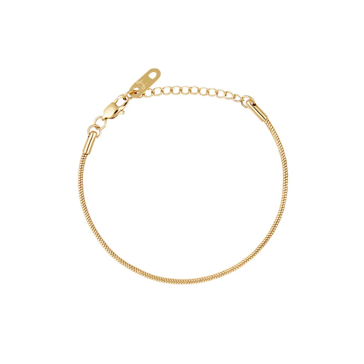 Slangearmbånd Gullfarget Stål Medium