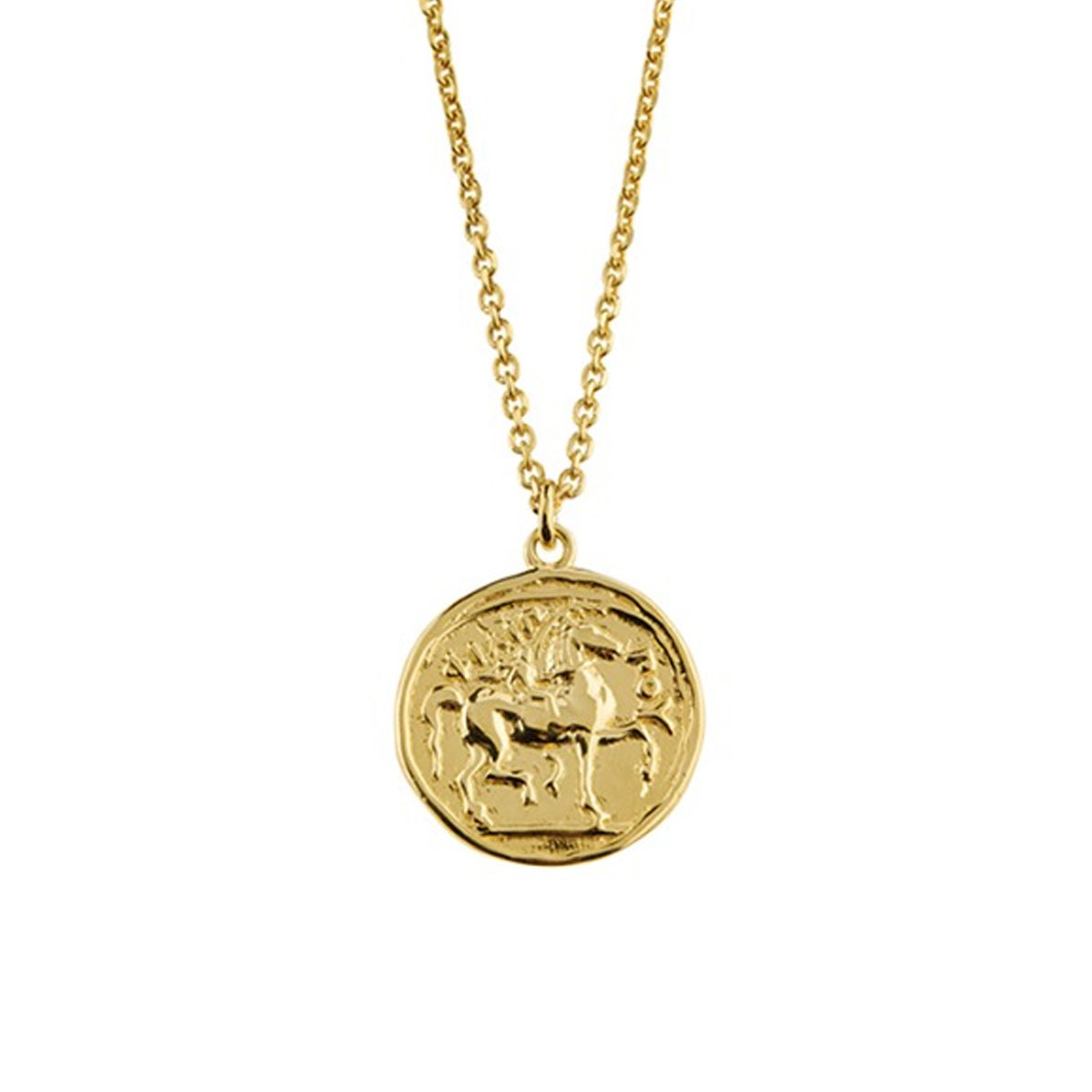 Smykke Lykkemynt Sølv