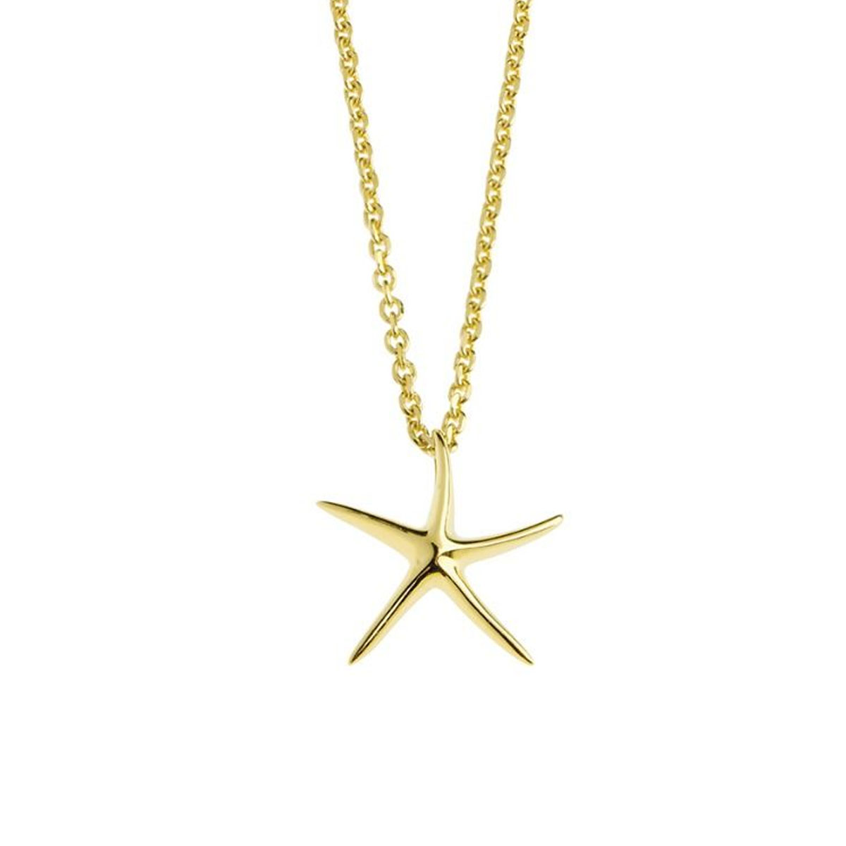 Smykke Sjøstjerne Gullforgylt Sølv 