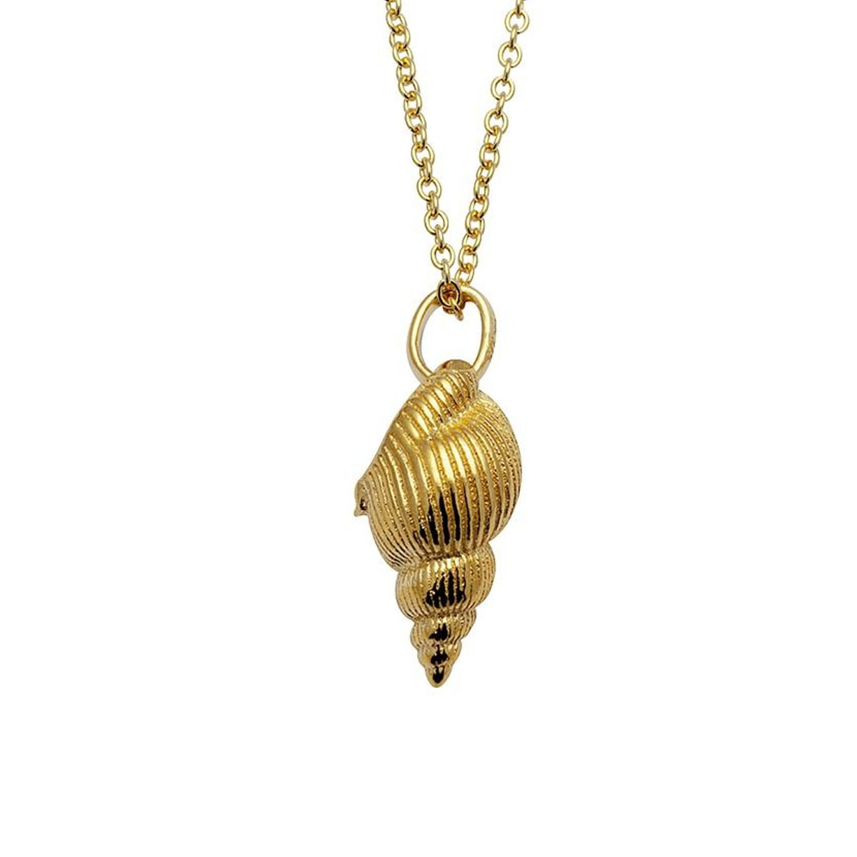 Smykke Konkylie Gullforgylt 