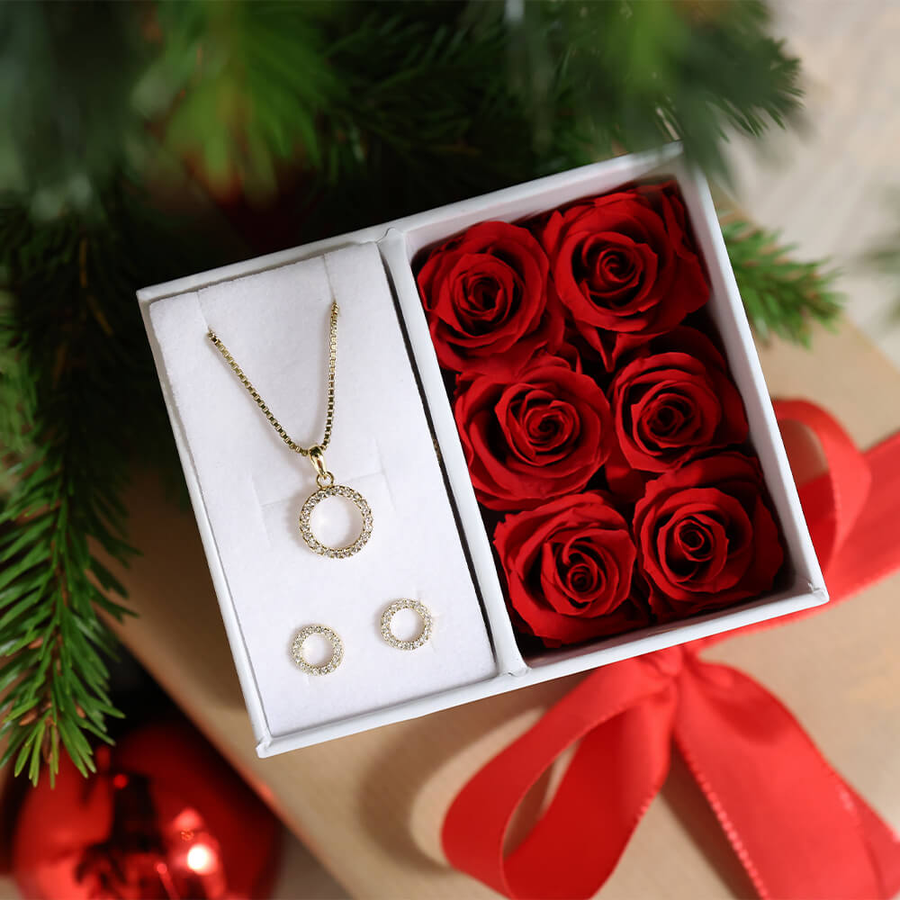 Vakre smykker av øredobber og halssmykke i gullfarge med glitrende hvite stener og formet som sirkler.