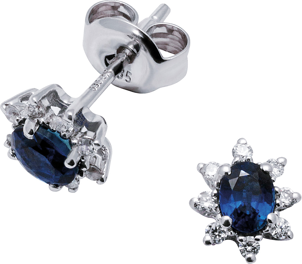 Rosett Øredobber Hvitt Gull